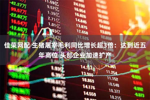 佳荣网配 生猪屠宰毛利同比增长超3倍：达到近五年高位 头部企业加速扩产